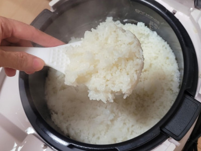 당일도정하는 23년 햅쌀 도매꾹 오덕쌀 친들미 10kg