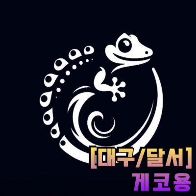 [대구 파충류샵] 파충류 분양 전문점/게코용(도마뱀, 거북이, 드래곤)